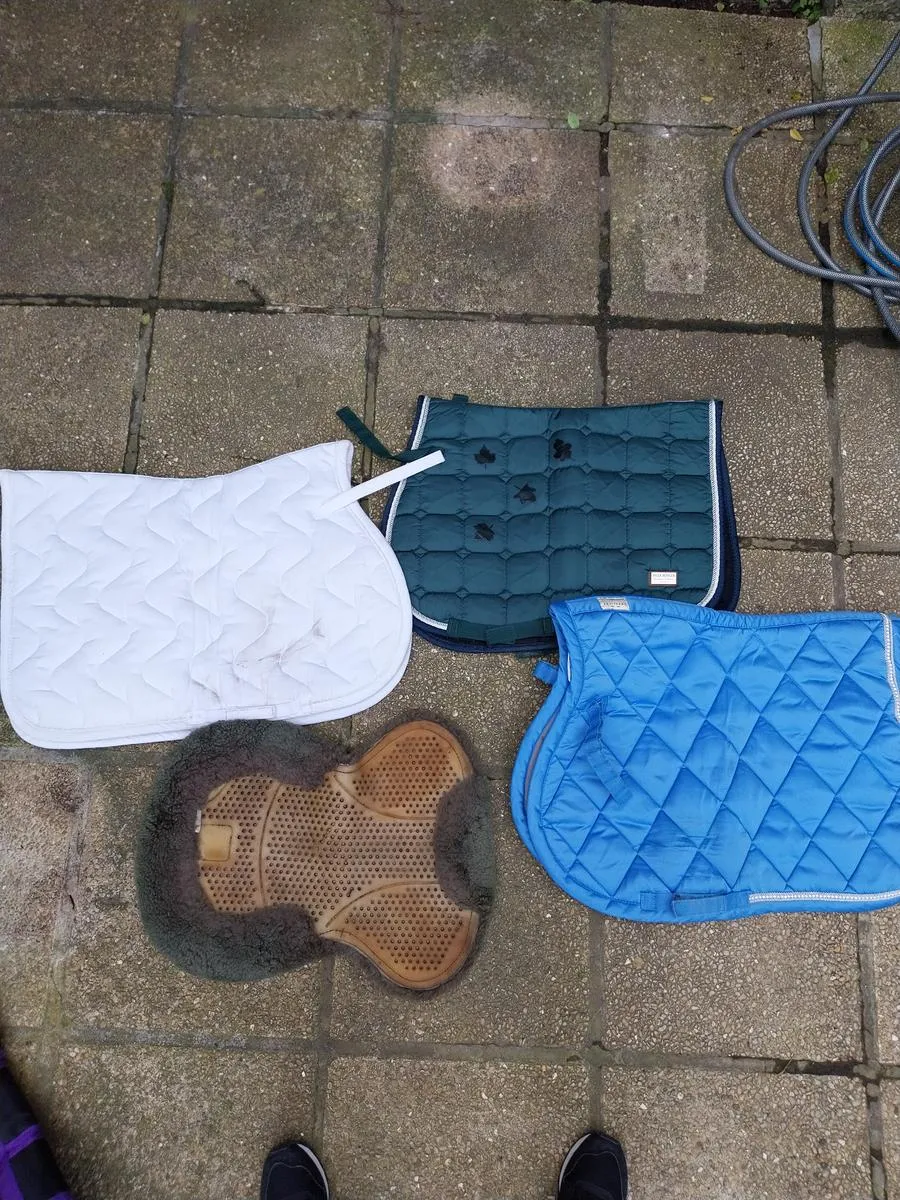 Bandes de travail taille poney