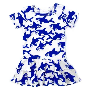 Robe Killer Whale