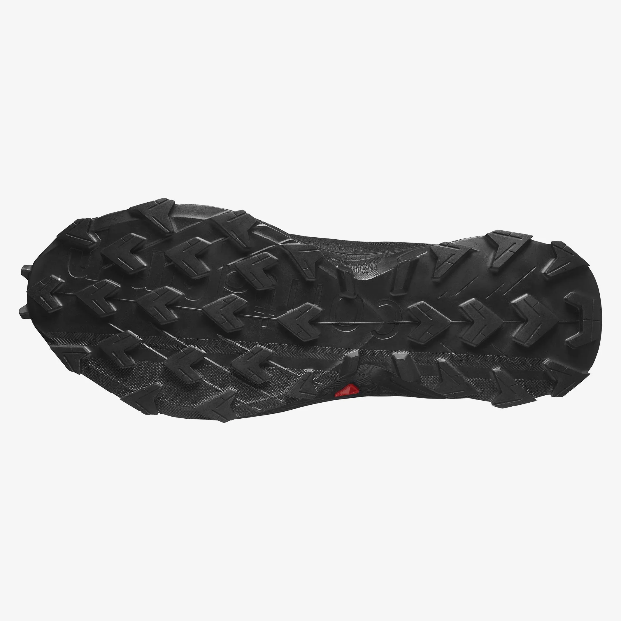 Salomon - Alphacross 5 GTX - Homme